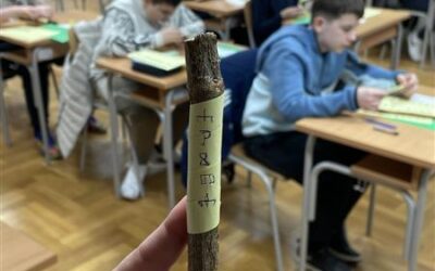 Matemaglija