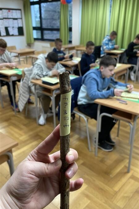 Matemaglija