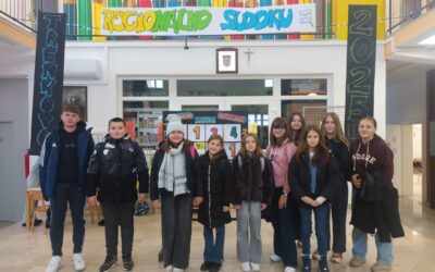 Regionalno natjecanje sudokua