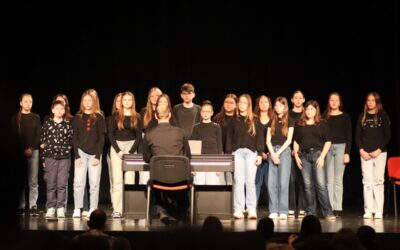 Sjajan uspjeh naših učenika na ovogodišnjoj Smotri izvannastavnih glazbenih aktivnosti