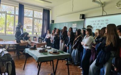 Profesionalna orijentacija učenika osmog razreda