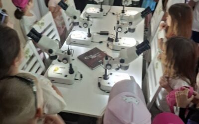 Terenska nastava prvašića: Nezaboravan dan i pregršt znanja u „Dravskoj priči“